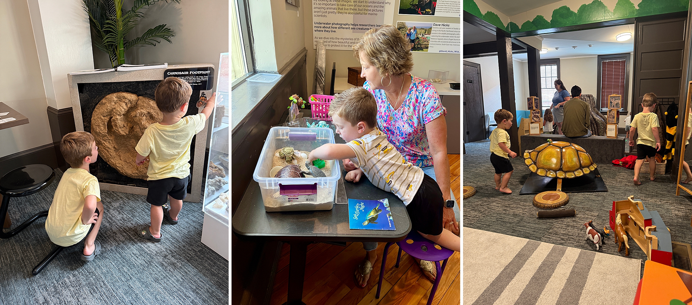 Museum of Natural Sciences Greenville NC toddler activity